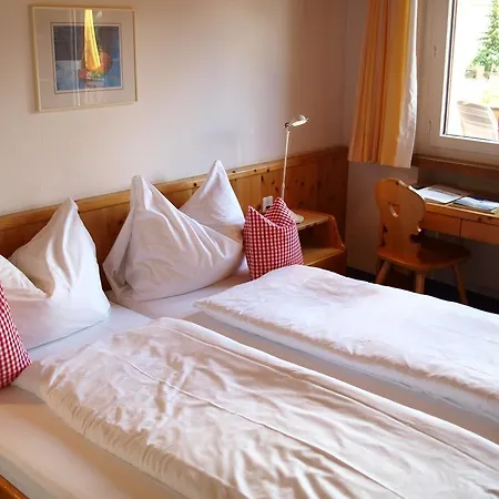 Hotel Garni Engiadina 3*