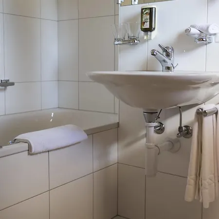 Hotel Garni Engiadina 3*